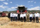 Başkan Güngör Buğday Hasadına Katıldı