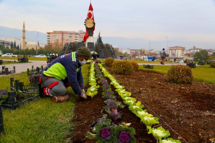 Şehir Çiçeklerle Renklendi
