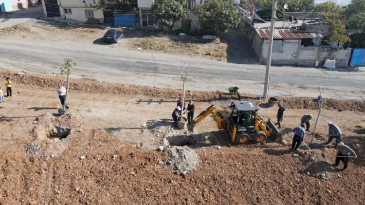 Millet Bahçesi Barbaros’a Nefes Aldıracak