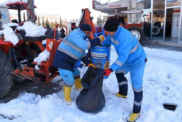 Dulkadiroğlu’nda Can Dostlar Unutulmadı